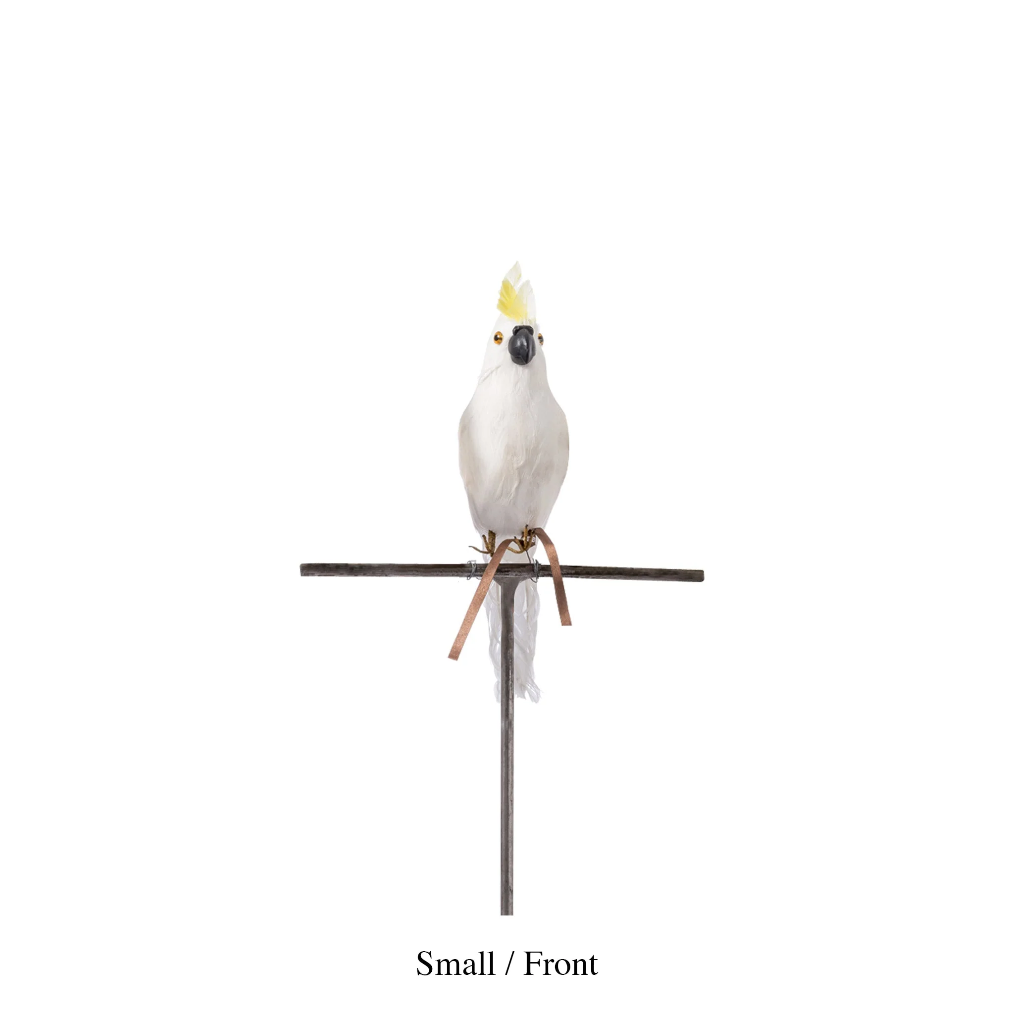 ARTIFICIAL BIRDS Parrot / Small - Image 3