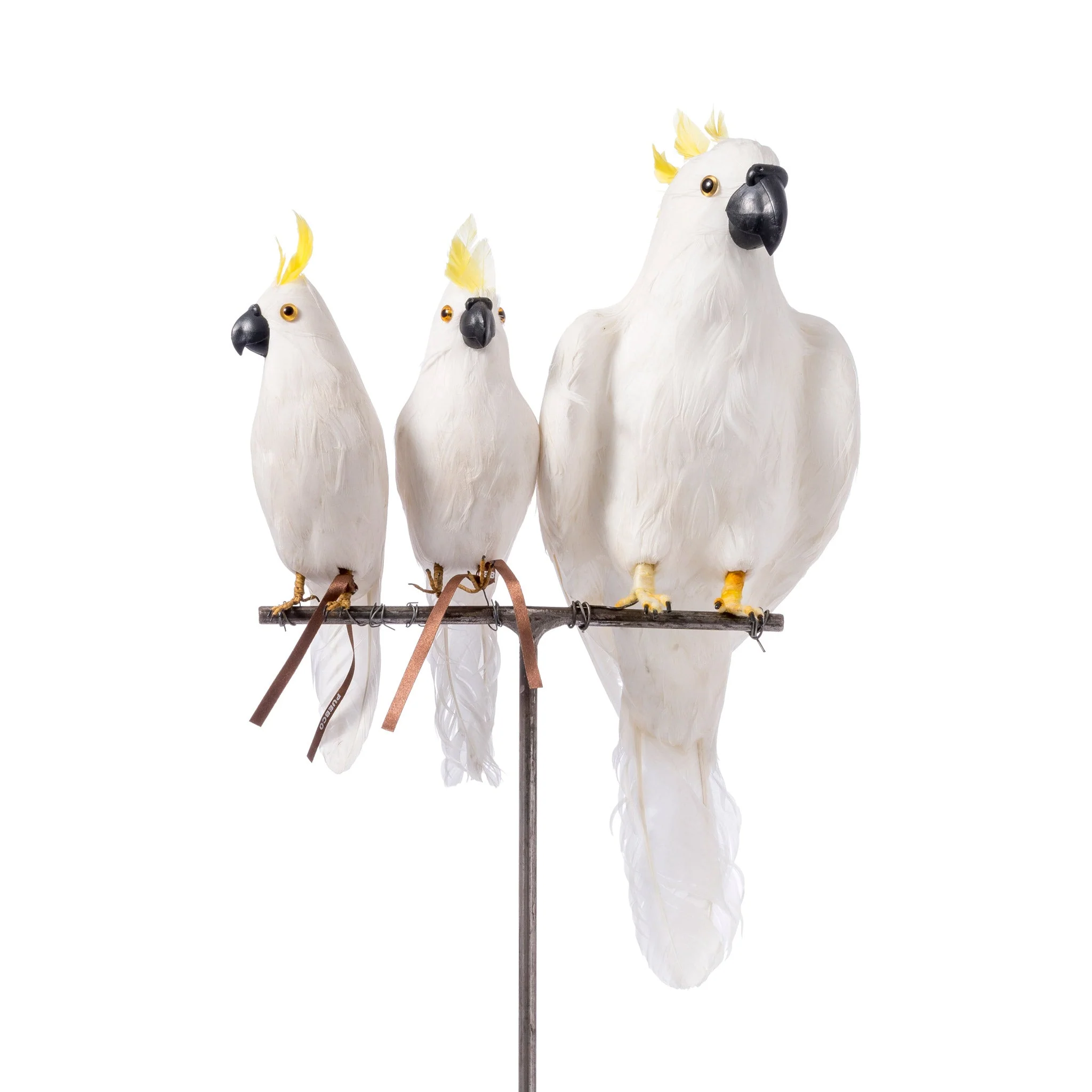 ARTIFICIAL BIRDS Parrot / Small - Image 5
