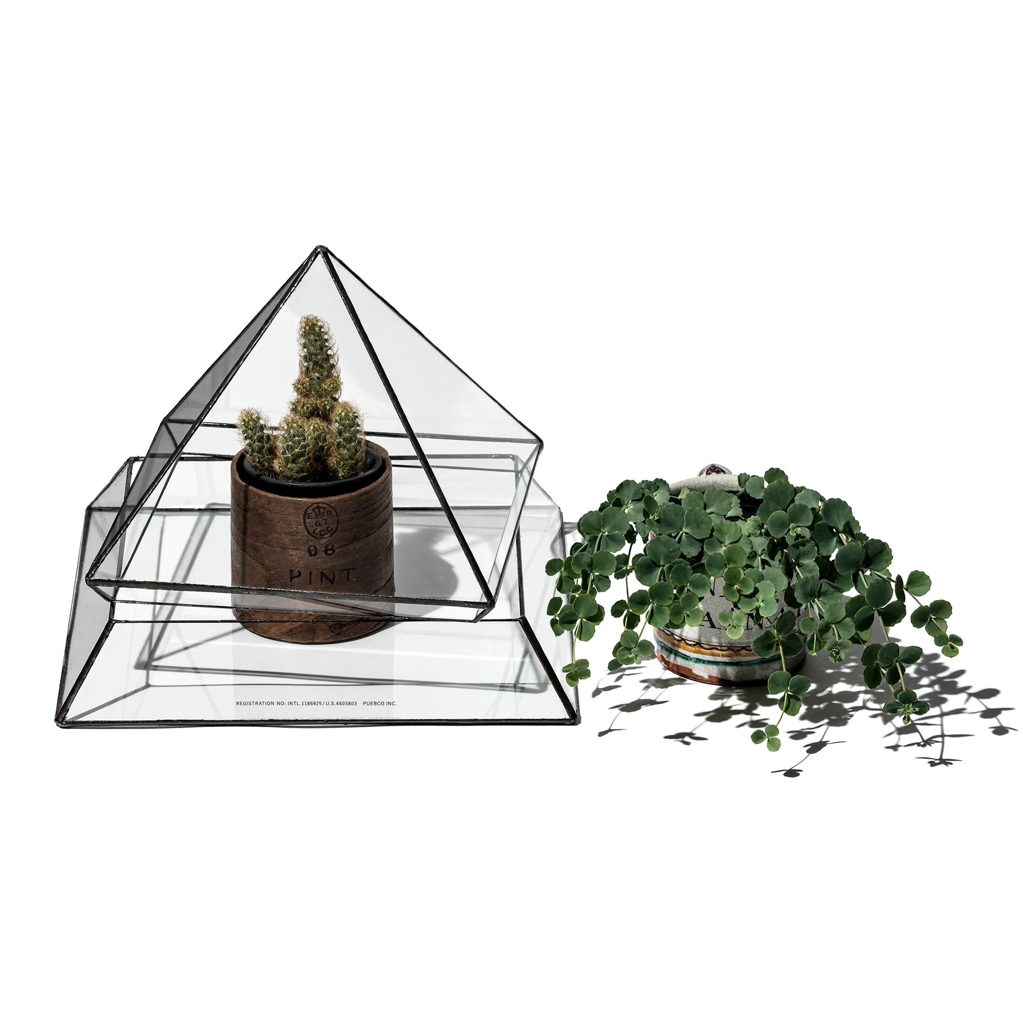 STAINED GLASS PLANT DISPLAY - Image 3